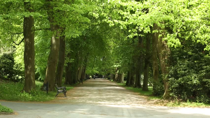 Header of Allee