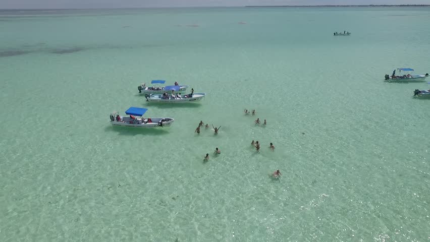 Header of caribe