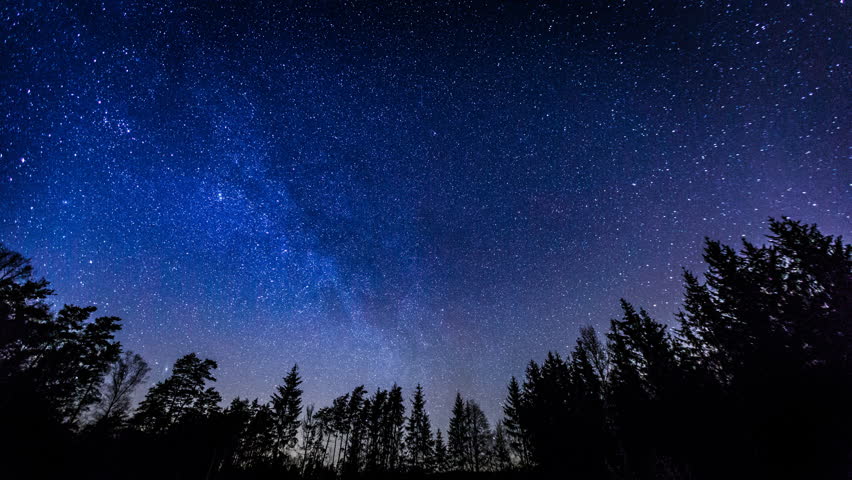 Tree and Starlight landscape night image - Free stock photo - Public ...