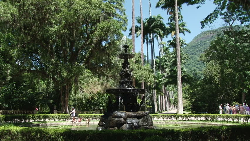 Palm Trees In The Botanical Gardens Rio De Janeiro Stock Fountain In The Botanical Gardens Rio De Janeiro Hd Stock Footage Clip
