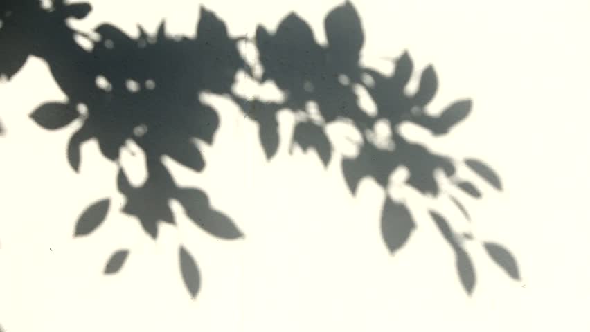Header of shadow