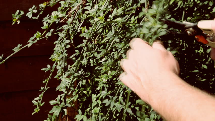 Header of secateurs