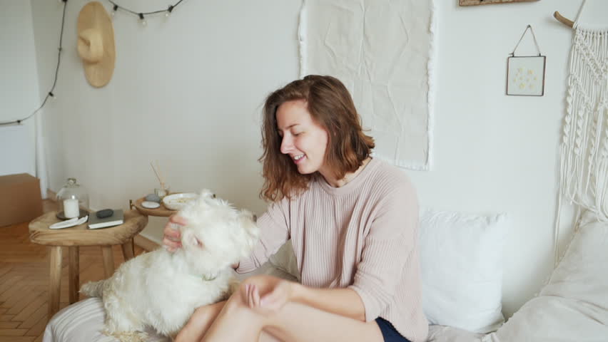 Image result for person playing with dogs at home