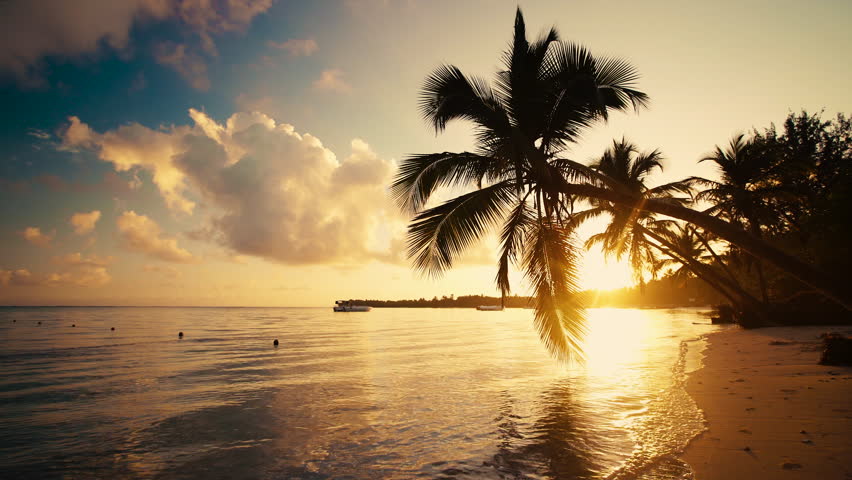 Sunrise, Punta Cana, Dominican Republic image - Free stock photo ...