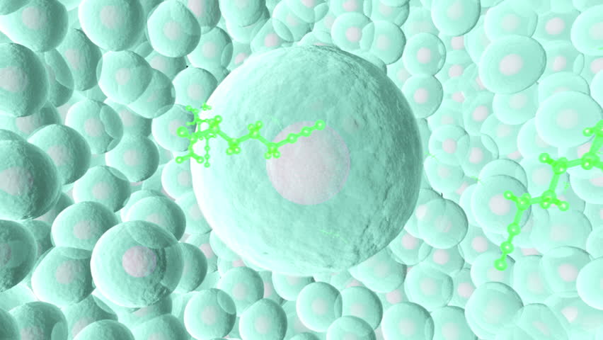 Header of extracellular