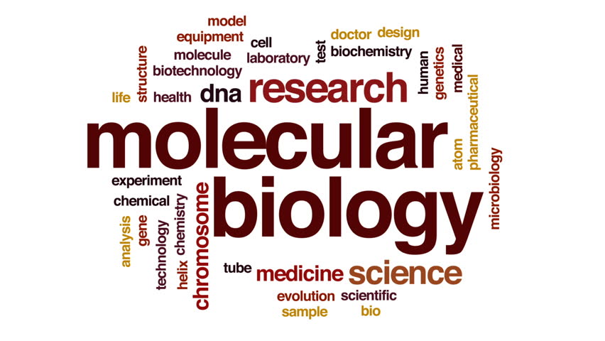 Molecular Biology Animated Word Cloud, Text Design Animation. Stock Footage Video 29359204 ...