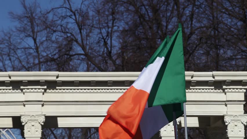 IRISH IRELAND Hand Wave FLAGS Waving ST PATRICK/'S DAY Festival Party 12 x 8/"