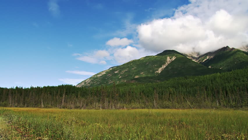 Header of McCarthy