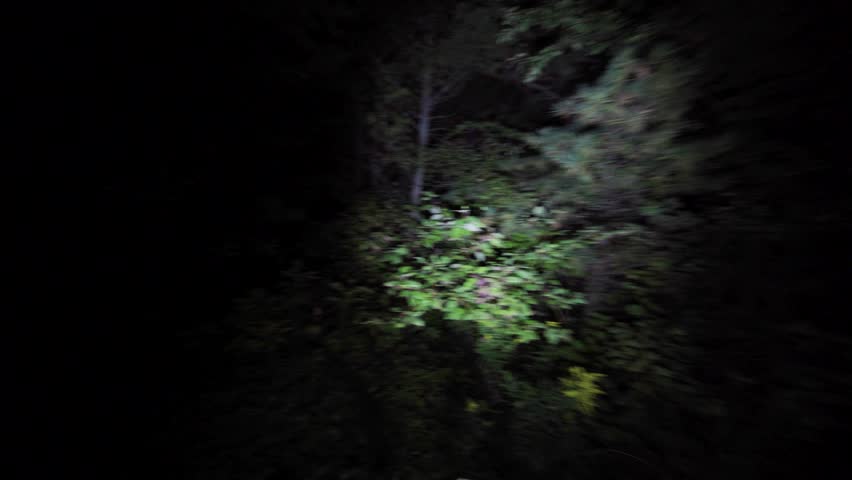 wandering lost through the woods at night lost in the dark with only flashlight to