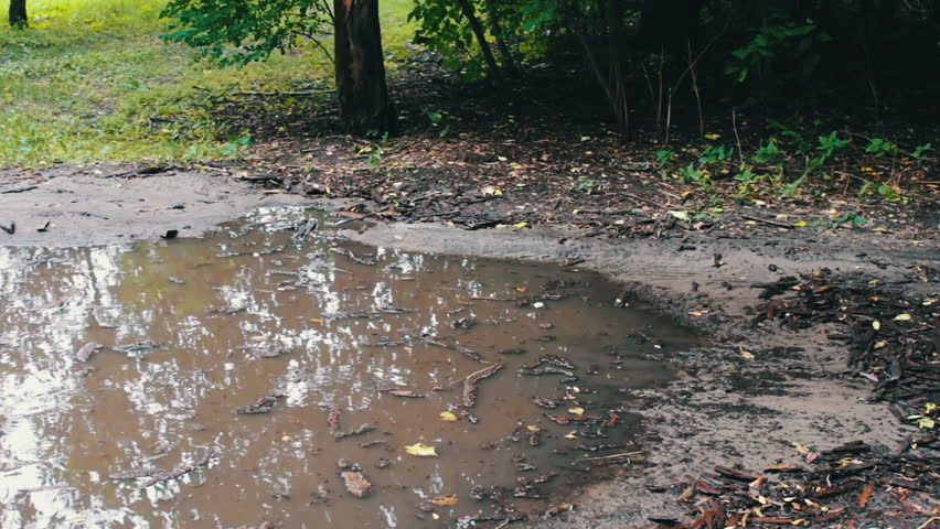 йошкар-ола окраины. черная лужа. ливень слякоть грязь. однородные и неоднородные определения знаки препинания. чёрный после дождей.