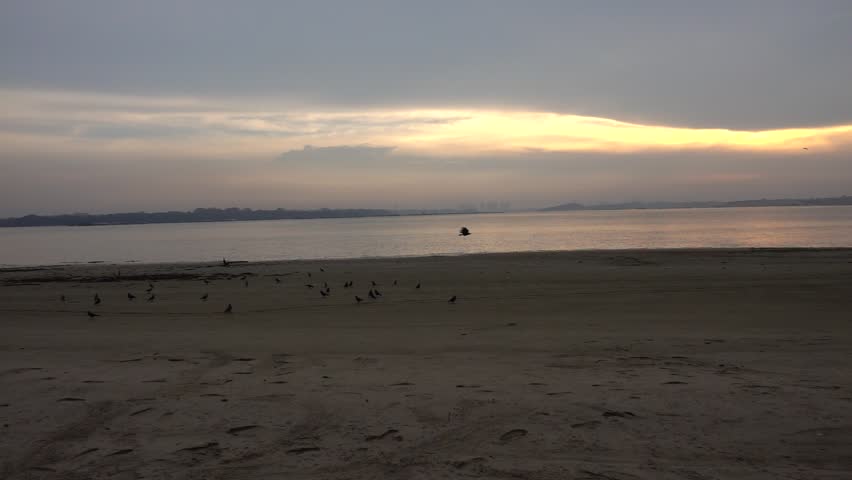 When Black Birds Fly Trailer