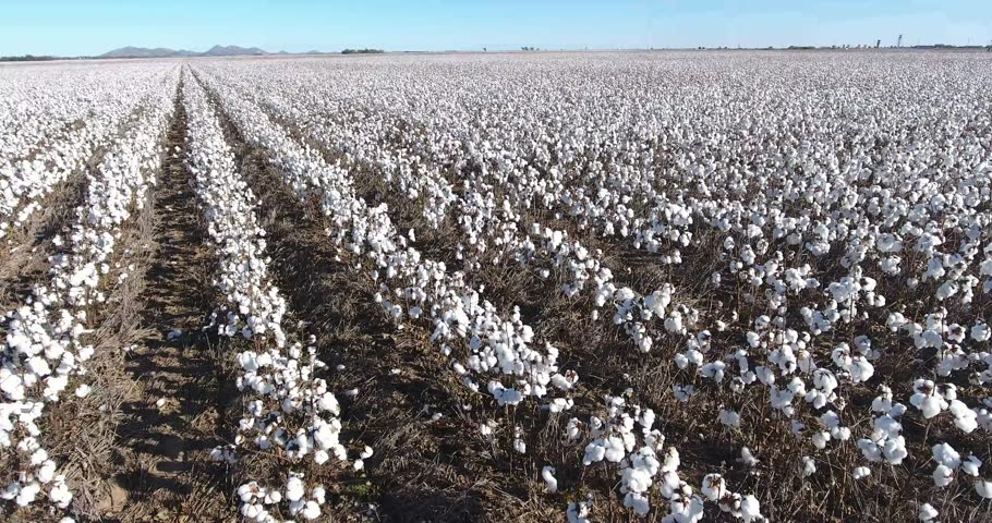 Cotton Balls Image Free Stock Photo Public Domain Photo Cc0 Images