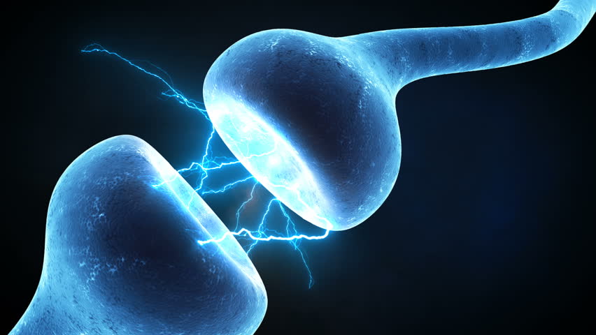 Neurotransmission Stock Footage Video | Shutterstock