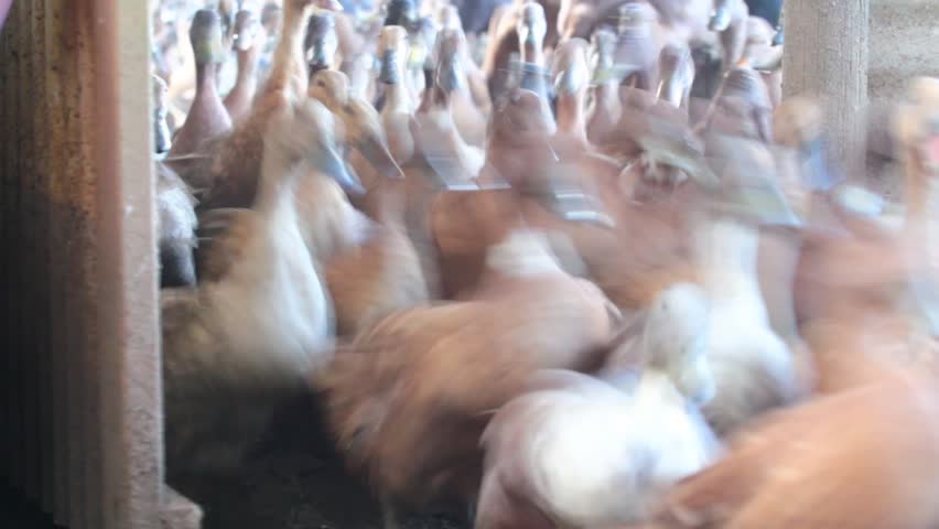 Header of enclosure