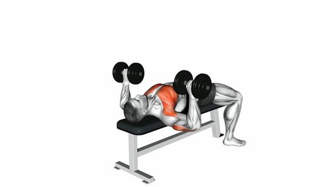 Dumbbell Bench Press Exercise 3d Video Stock Footage Video (100% Royalty- free) 33735811 | Shutterstock