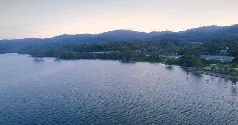 Aerial: trees growing out of the water in Lexington Reservoir, Los gatos, Silicon Valley, USA