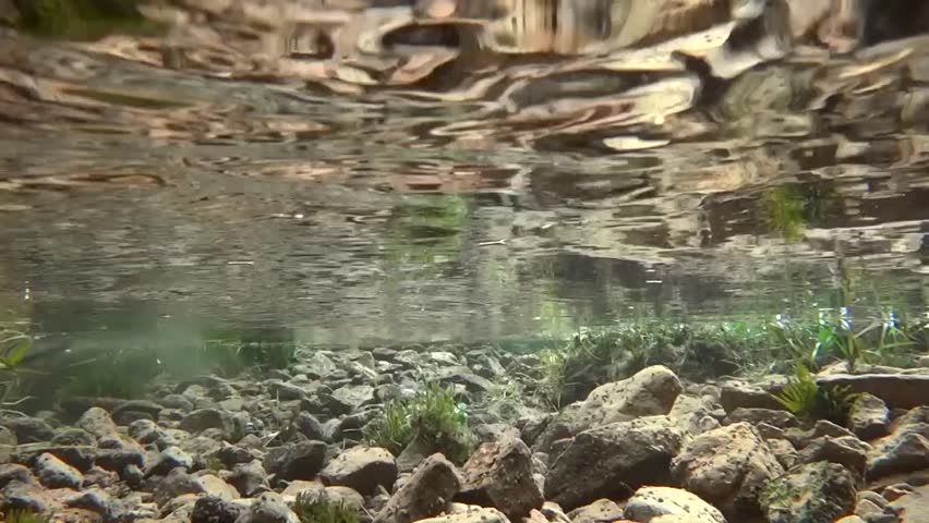 Underwater Source. Stock Footage Video (100% Royalty-free ...