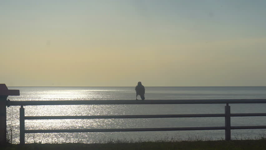 Header of peril