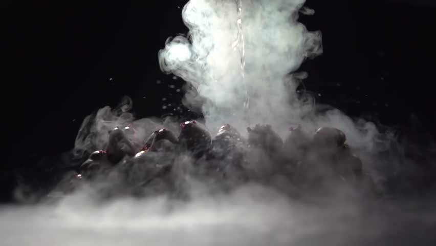Header of tenor