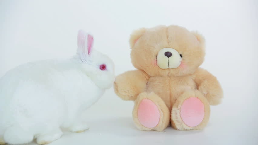rabbit and teddy bear