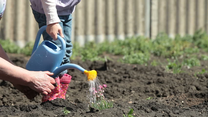 Header of smallholder