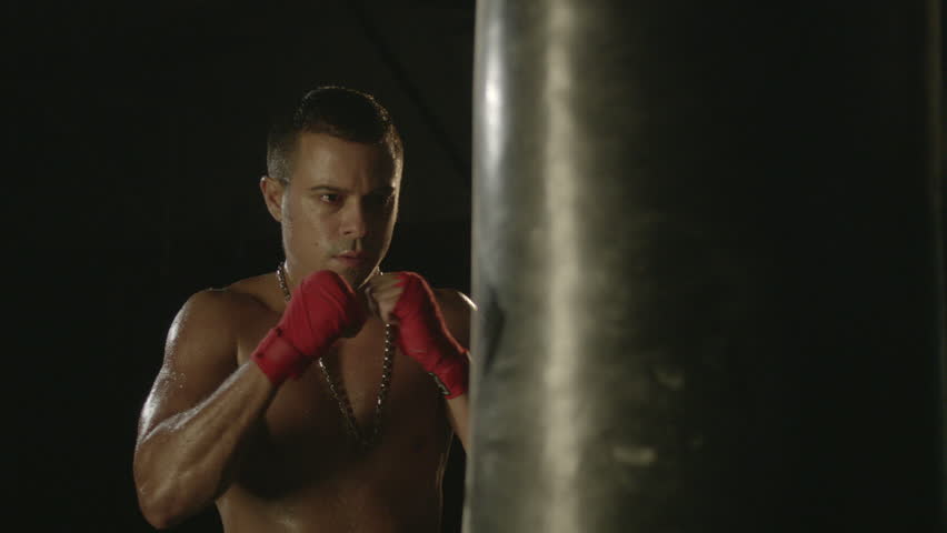 Header of Boxer