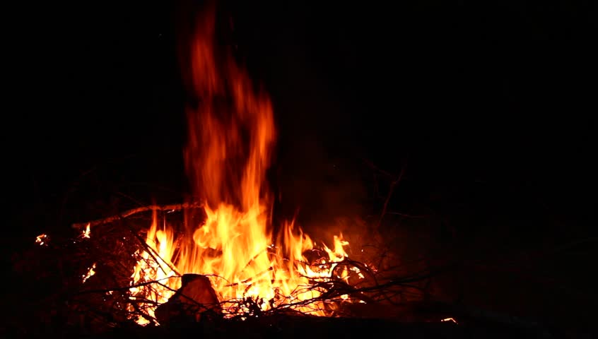 Cozy Campfire Outdoors In Late Cold Night Stock Footage Video 14147 ...