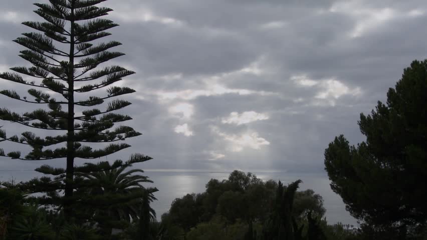 the description of the sky craping norfolk pines at rangitoto The grounds guys is a full-service grounds care, lawn care, and landscaping company serving commercial and residential customers call today for a free estimate. the description of the sky craping norfolk pines at rangitoto The grounds guys is a full-service grounds care, lawn care, and landscaping company serving commercial and residential customers call today for a free estimate.