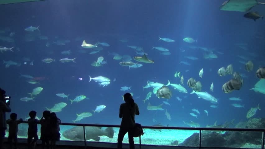 Header of aquarium