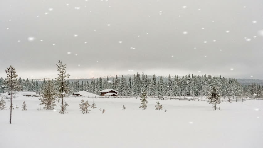 Beautiful Winter Landscape With A Stock Footage Video 100