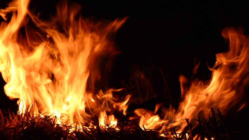 Realistic Fire With Alpha Hd Stock Footage Video 100 Royalty