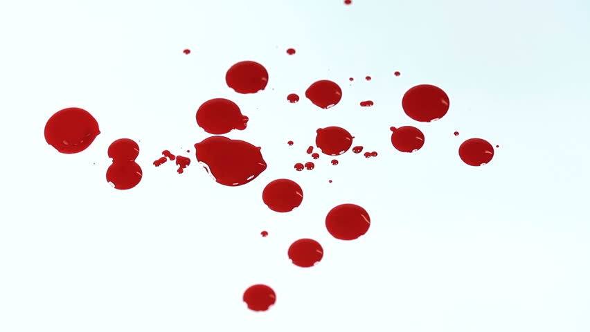 Blood Drops On White Background Stock Footage Video 100 Royalty