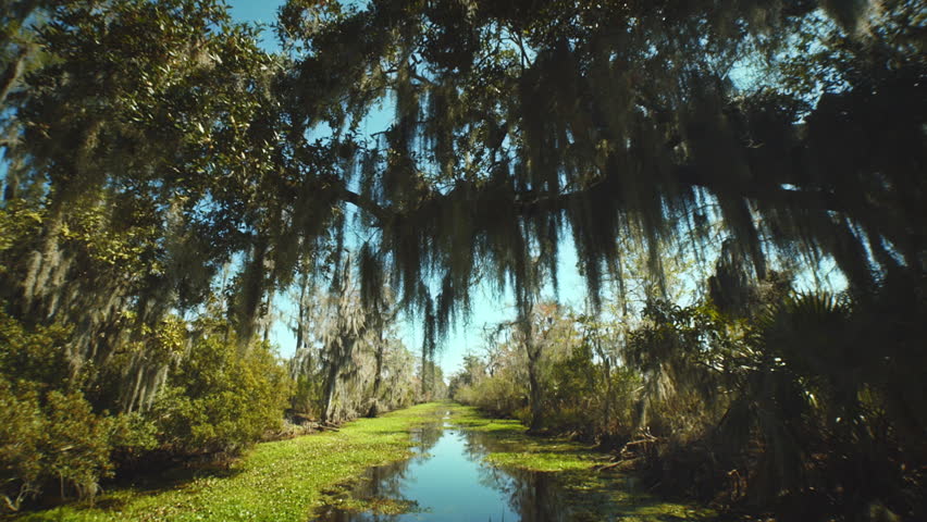 Header of surroundings