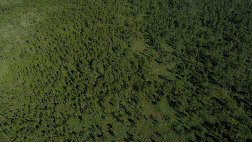 Aerial Above View North Delta Nature Reserve, Vancouver - Aerial Above ...