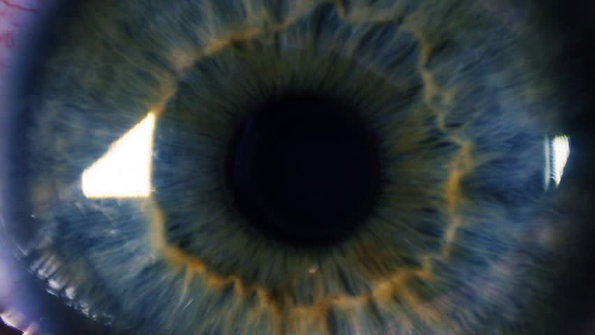 Header of pupil