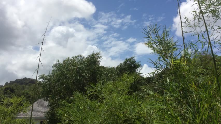 A Windy Cloudy Sky. Stock Footage Video (100% Royalty-free) 6823651