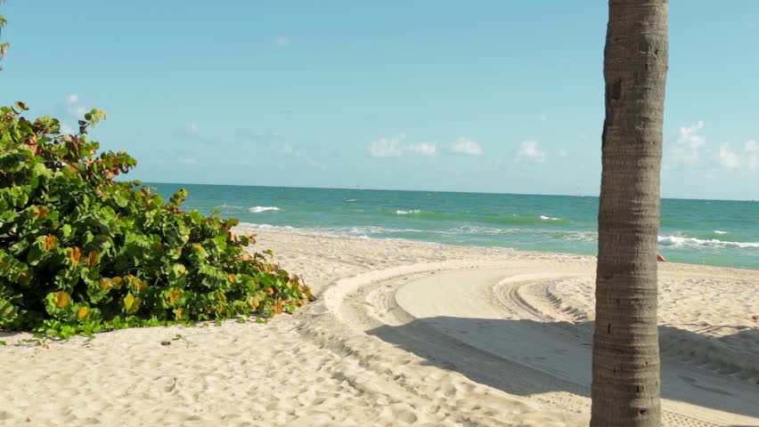 Sebastian Beach Fort Lauderdale Royalty Free Video Sebastian Beach Fort Lauderdale