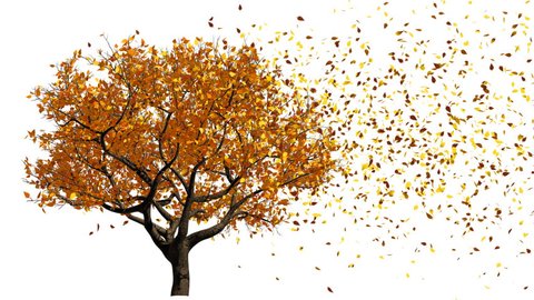 Tree Spring Autumn 3d Animation Stock Footage Video (100% Royalty-free) 7327171 | Shutterstock Tree Spring Autumn 3d Animation Stock Footage Video (100% Royalty-free) 7327171 | Shutterstock