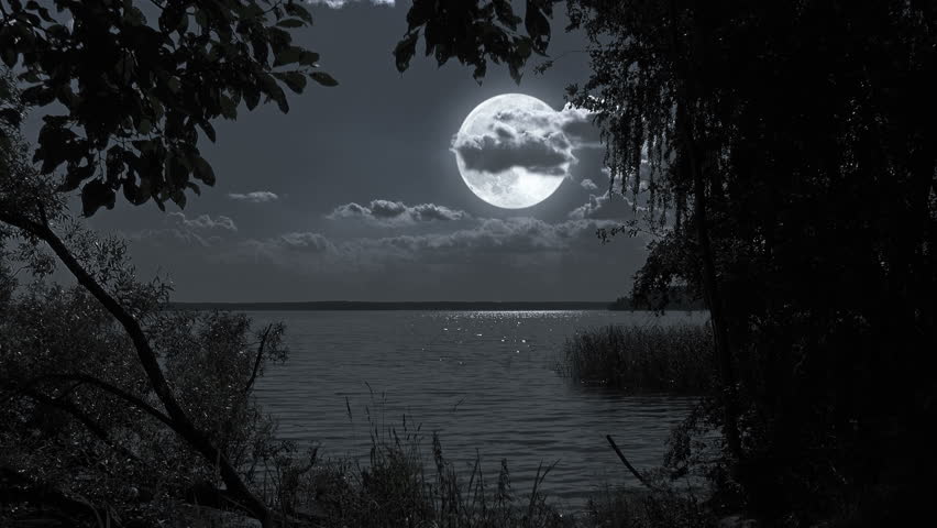 Nature Full Moon Night Landscape With Forest Lake. Stock Footage Video ...