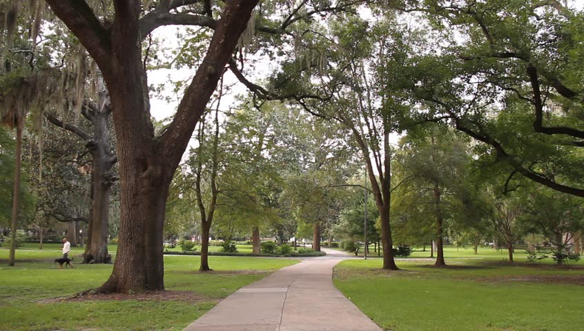 forsyth-park-sidewalk-and-spanish-stock-footage-video-100-royalty