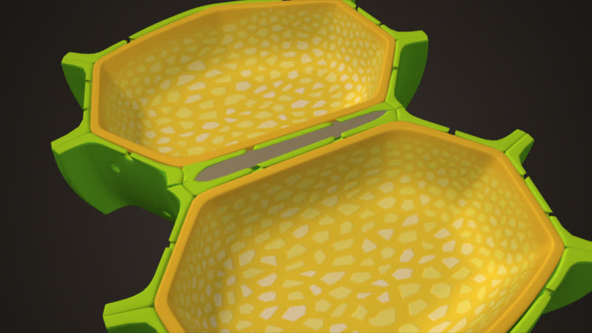 Header of lamella
