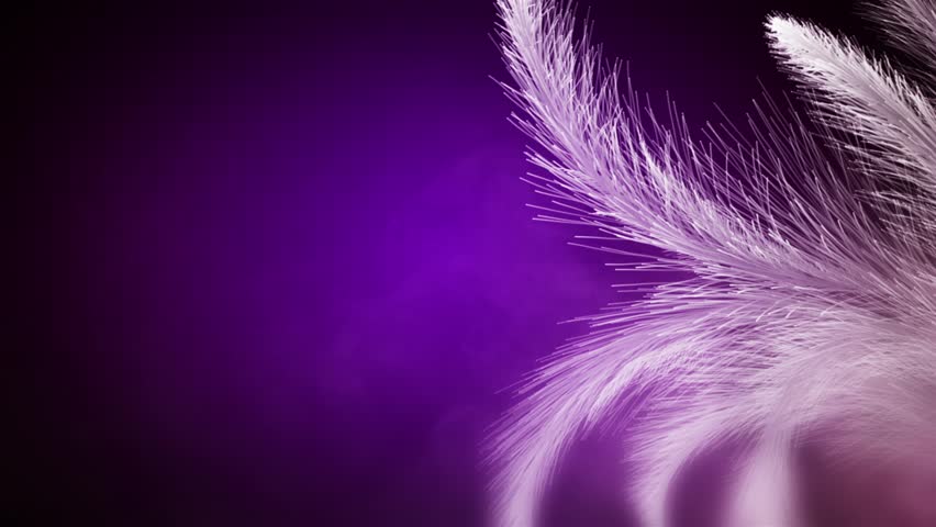 Unduh 480 Koleksi Background Hd Violet Gratis Terbaik