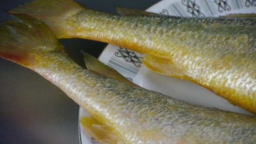 Header of croaker
