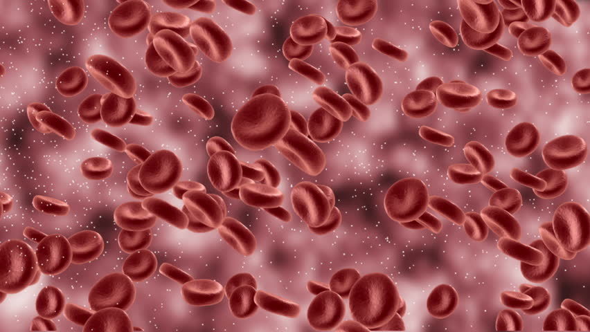 Группы клеток эритроцитов. Клетка эритроцита. Здоровый эритроцит. Кровяные тельца. Красные клетки крови.