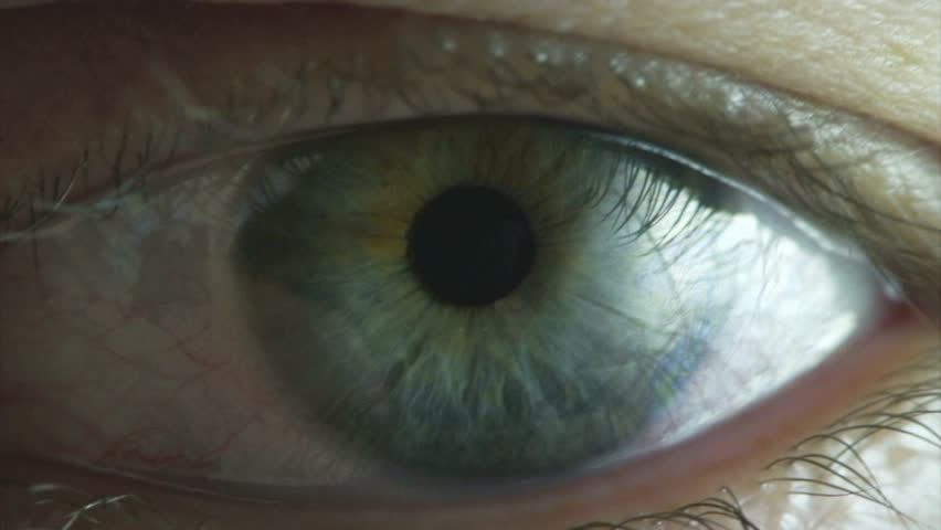 Eye Iris And Pupil Macro. Reflected Light Rays Into The Human Eye Stock ...