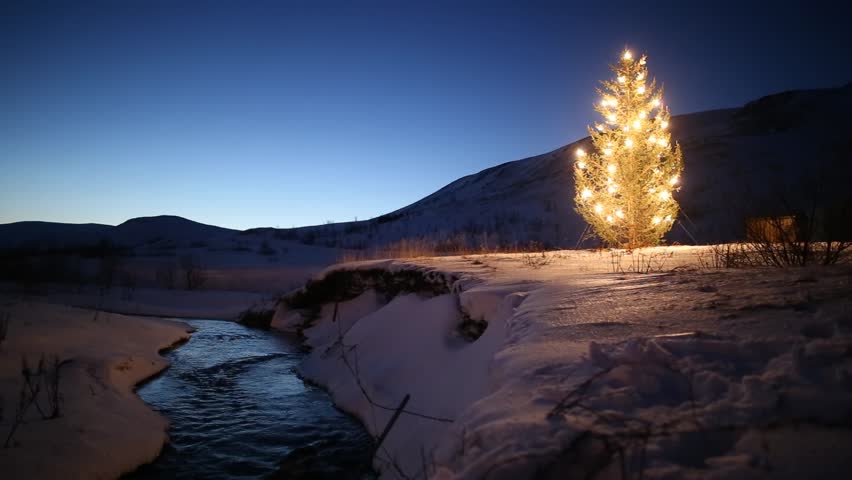 christmas tree mountain