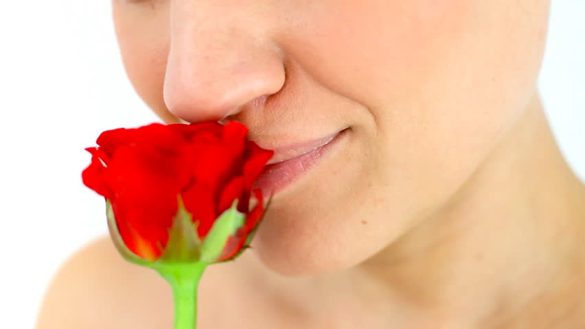 Stock video of smelling rose, isolated | 889981 | Shutterstock
