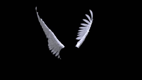 Angel Wings Animation Luma Matte Stock Footage Video (100% Royalty-free)  890071 | Shutterstock