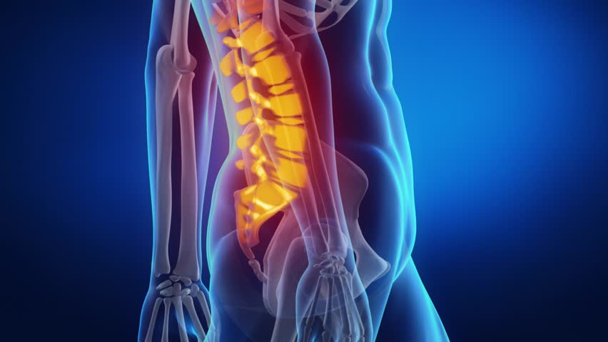 X-ray Skeleton Animation Of Lower Back Spine Pain Stock Footage Video ...
