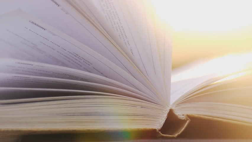 Image result for books sunlight